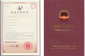 低碳水性花岗岩涂料发明专利