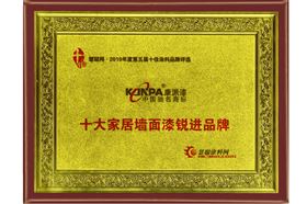 十大家居墙面漆锐进品牌