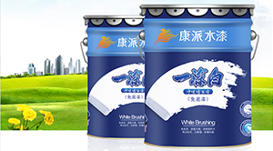 康派超浓缩技术